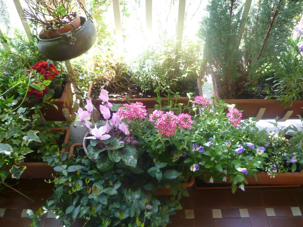 Bed and Breakfast La Terrazza Sul Po Turyn Zewnętrze zdjęcie